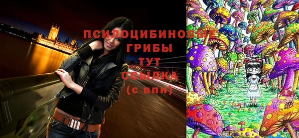 ECSTASY Алексеевка