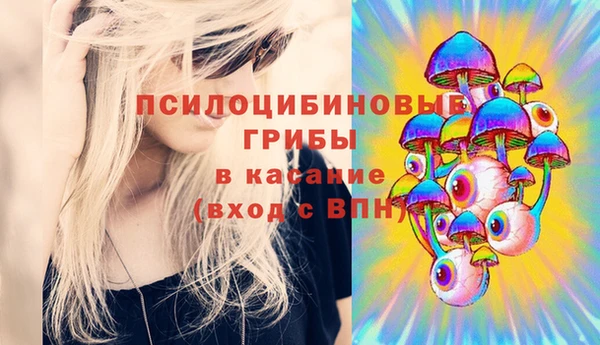 твердый Абинск