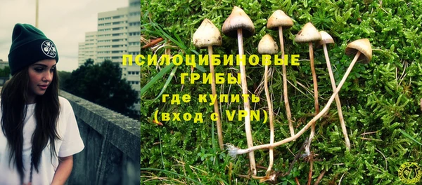 MESCALINE Алзамай
