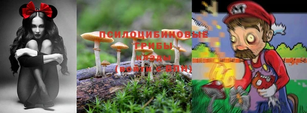 первитин Алексин