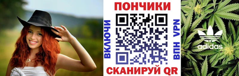 дарнет шоп  Сясьстрой  Шишки марихуана планчик 